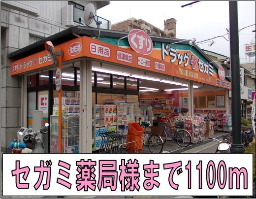 ドラックストア　セガミ薬局様（ドラッグストア）まで1100m