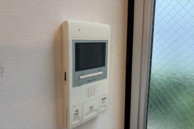 ニシオギソウのその他写真
