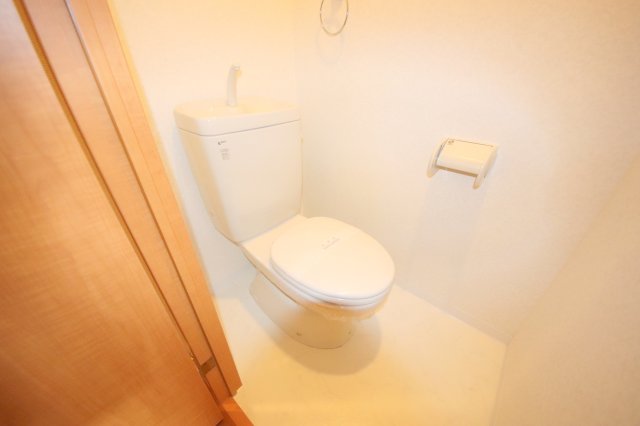 ドゥジェ―ムならのトイレ写真