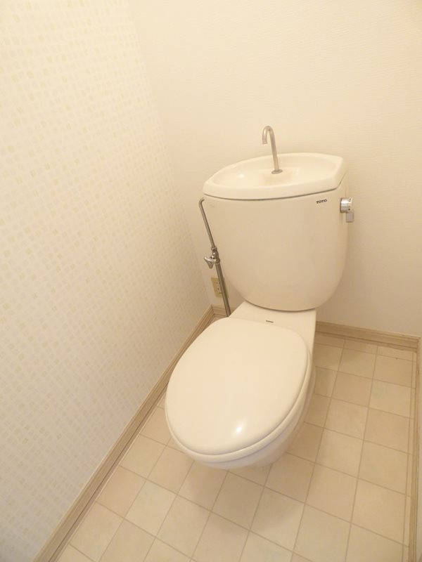 ファミール美しが丘のトイレ写真