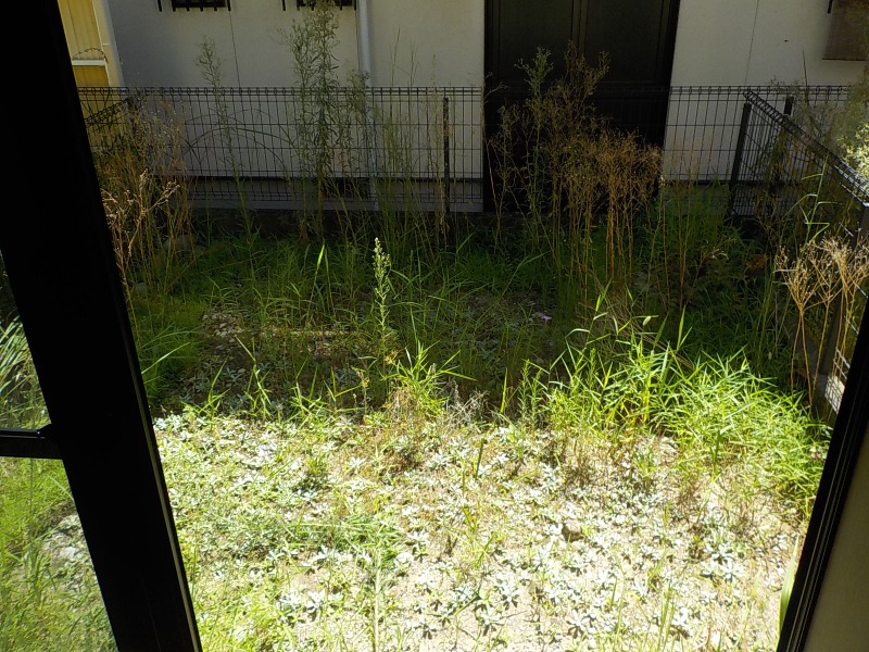 遠州鉄道 積志駅 徒歩32分 2階建 築30年のその他写真