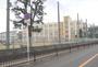 小学校　門真市立門真みらい小学校（小学校）まで762m