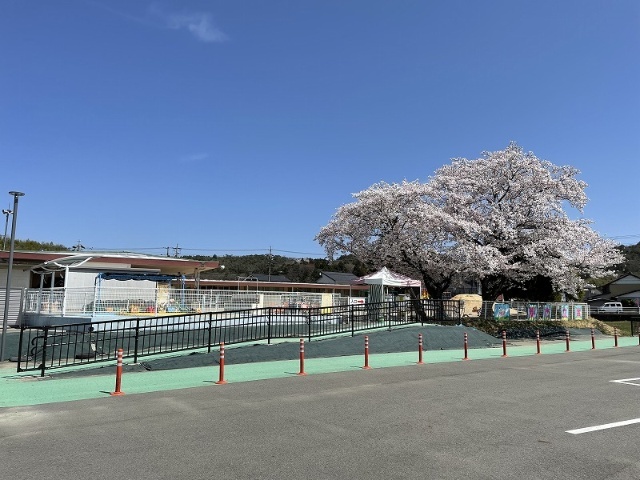 幼稚園・保育園　富岡保育園（幼稚園・保育園）まで484m