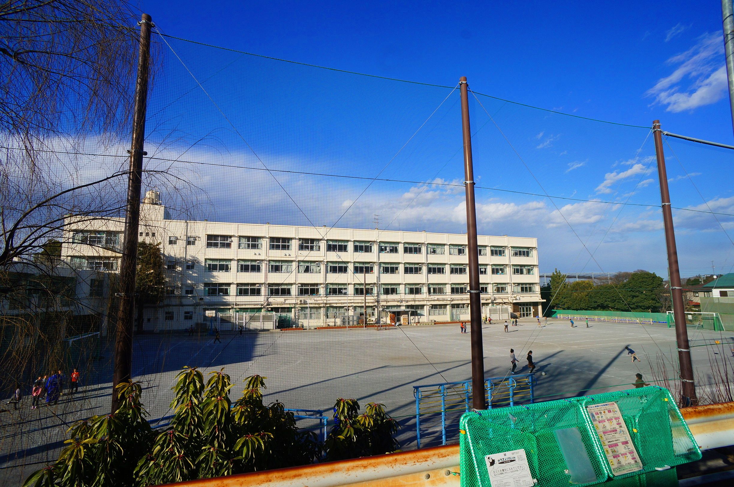 小学校　横浜市立中沢小学校（小学校）まで342m