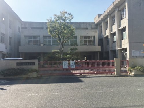 【橿原市石川町のマンションの小学校】