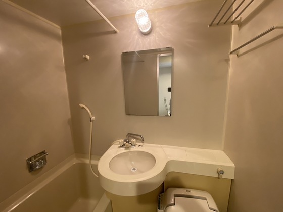 洗面設備　※別号室の写真です