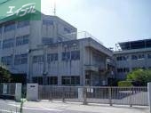 小学校　岡山市立大野小学校（小学校）まで618m