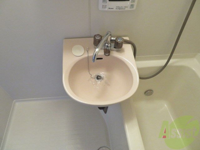 洗面設備　洗面台はこちらコンパクトですが朝の支度に助かりますね