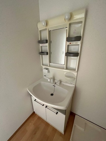 洗面設備　※他号室の写真です