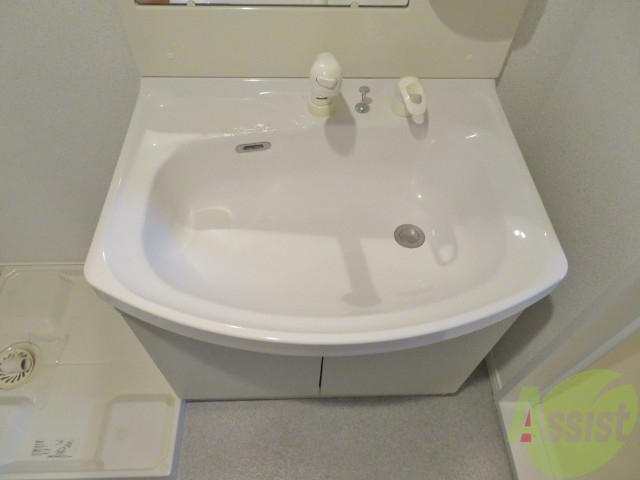 洗面設備　洗面台にシャワーが付いてますのでここで髪の毛のセット出来ます