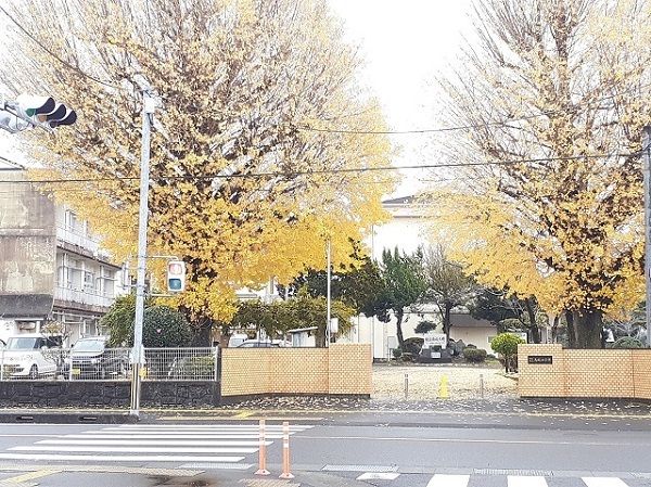 小学校　都城市立高城小学校（小学校）まで300m