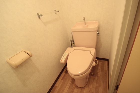 トイレ　※別号室の写真です