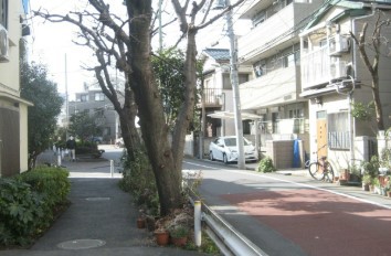 飲食店　ミスタードーナツ池上駅前店（飲食店）まで295m