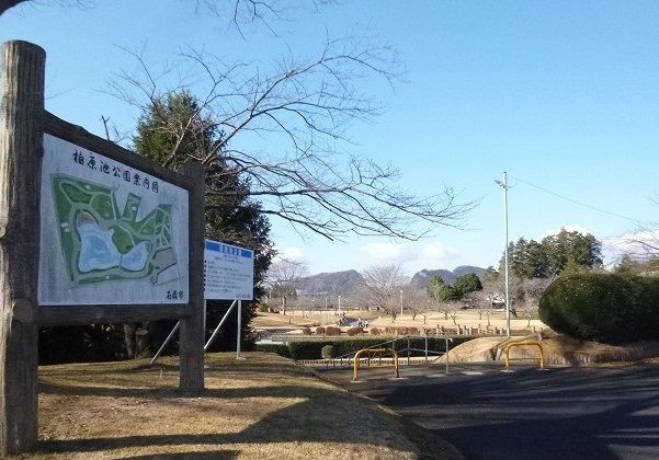 公園　柏原池公園（公園）まで170m