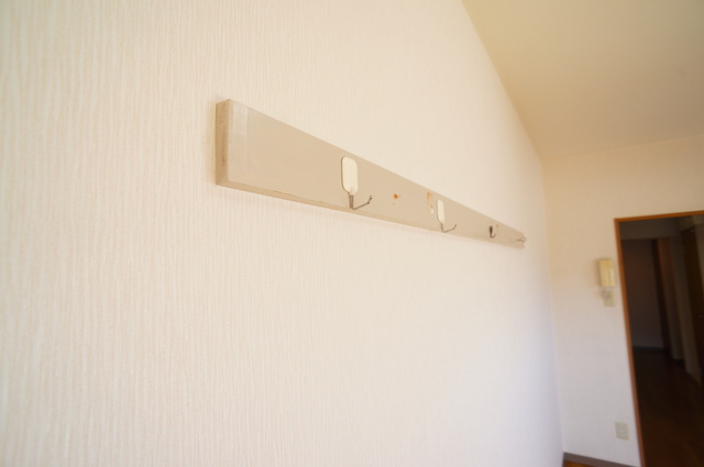 その他設備　フック付なので、ハンガーなどでお洋服をかけられます♪