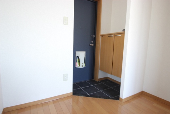 玄関　※別部屋の写真です