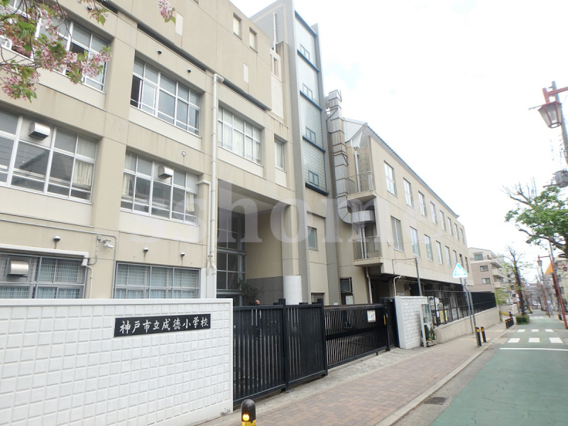 小学校　成徳小学校（小学校）まで430m