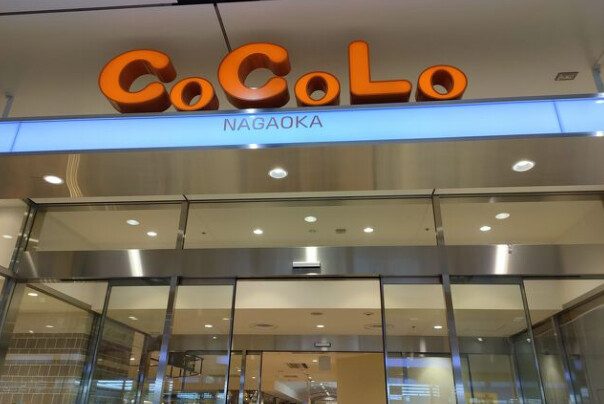 ショッピングセンター　COCOLO長岡店（ショッピングセンター）まで1500m