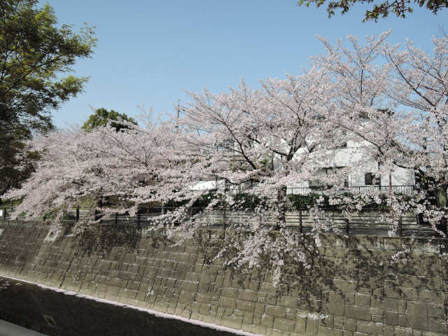 その他　植田川沿い（その他）まで376m