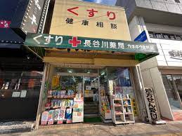 ドラックストア　長谷川薬局（ドラッグストア）まで579m