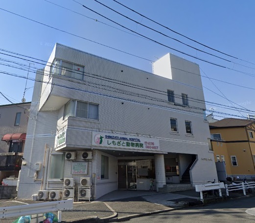 病院　しもざと動物病院（病院）まで891m