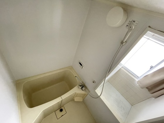 バス・シャワールーム　※別部屋の写真です