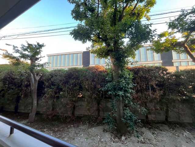 眺望　※参考写真です。別部屋になります。