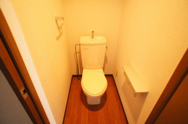 トイレ　タオルハンガーと紙巻器カウンター付き