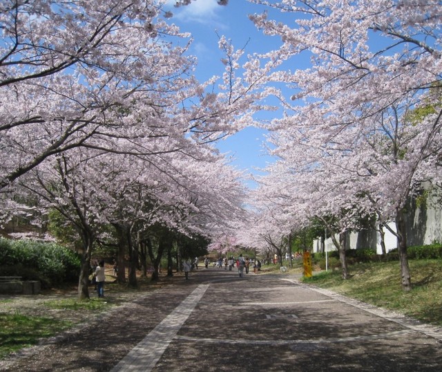 その他　おゆみ野はるのみち公園（遊歩道はるのみち）（その他）まで620m
