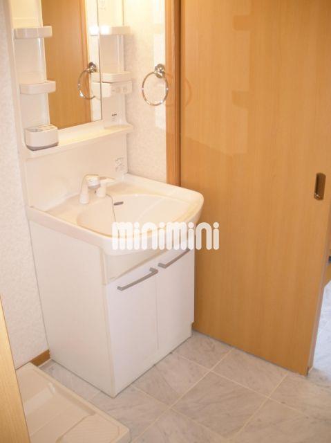 洗面設備　シャンプードレッサーが付いてます。