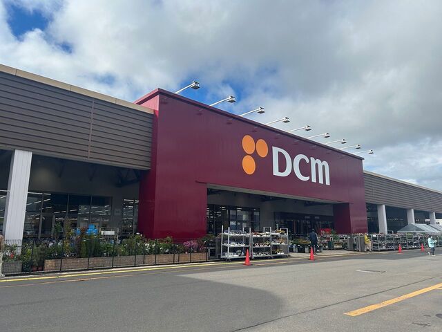 ホームセンター　ＤＣＭ岩見沢（ホームセンター）まで1100m