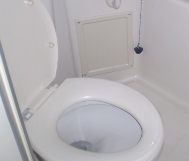 トイレ　同物件別号室のものです。