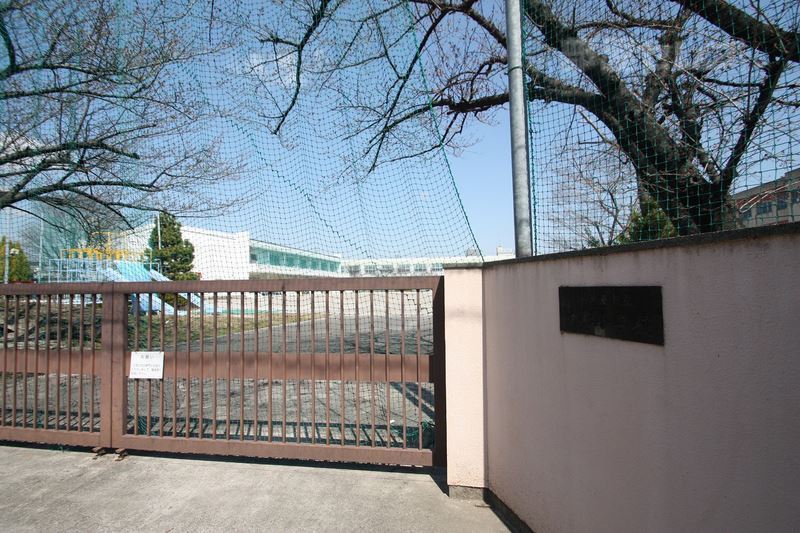 小学校　大杉小学校（小学校）まで480m