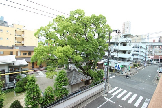 眺望　※別部屋の写真です