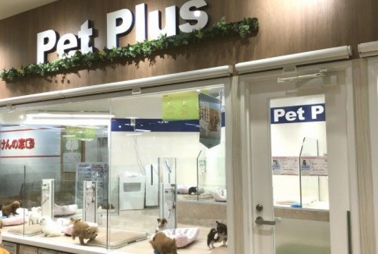 その他　ペットフォレスト新百合丘OPA店（その他）まで474m