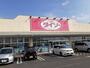 その他　ダイソー宇都宮細谷店（その他）まで1400m