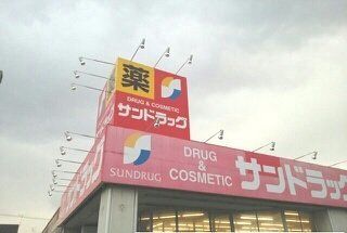 ドラックストア　サンドラッグ新琴似（ドラッグストア）まで1200m