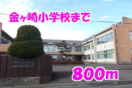 小学校　金ヶ崎小学校（小学校）まで800m
