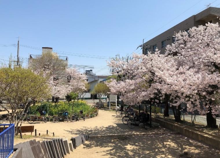 公園　寿公園（公園）まで574m