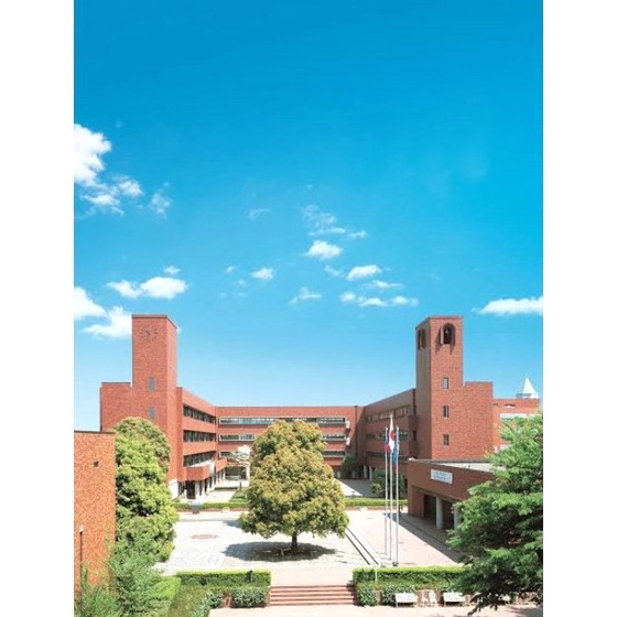 中学校　杉並区立宮前中学校（中学校）まで335m