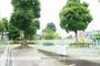 公園　新曽柳原児童遊園地（公園）まで214m