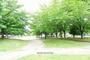 公園　新曽小玉緑地（公園）まで270m
