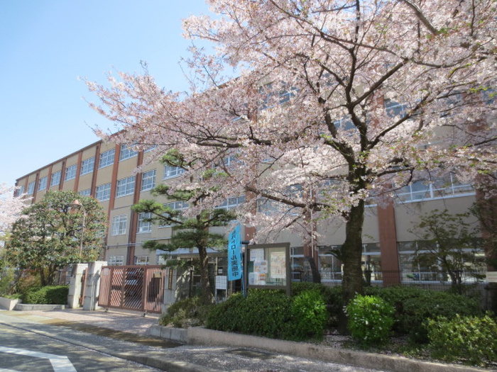 小学校　京都市立樫原小学校（小学校）まで450m
