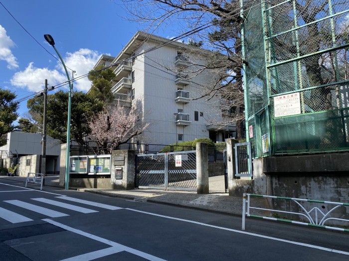 中学校　渋谷区立鉢山中学校（中学校）まで204m