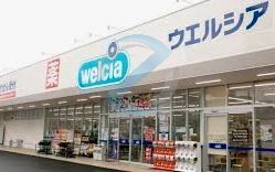 ドラックストア　ウエルシア江戸川松江店（ドラッグストア）まで250m