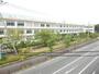 中学校　平塚市立浜岳中学校（中学校）まで484m