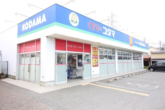 ドラックストア　クスリのコダマ南出来島店（ドラッグストア）まで1391m