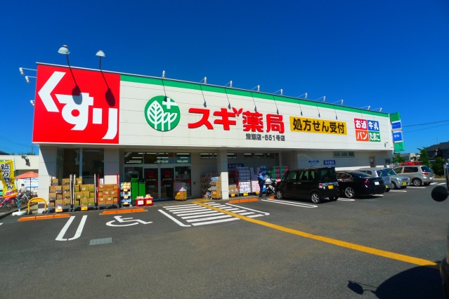 ドラックストア　スギ薬局清瀬店（ドラッグストア）まで927m