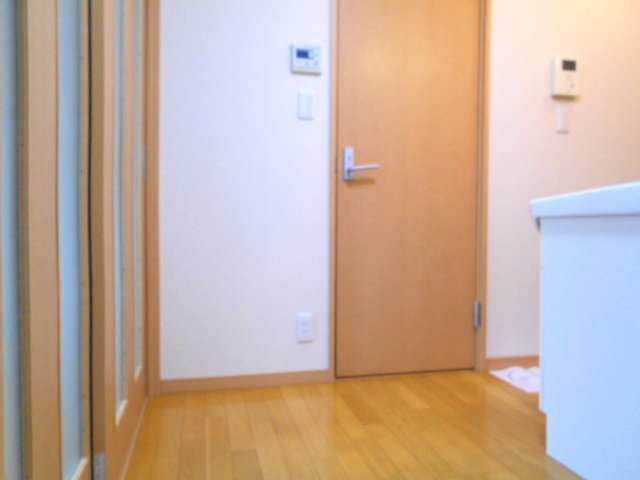 玄関　※別号室の参考写真(仕様違いの場合あり・現況優先)