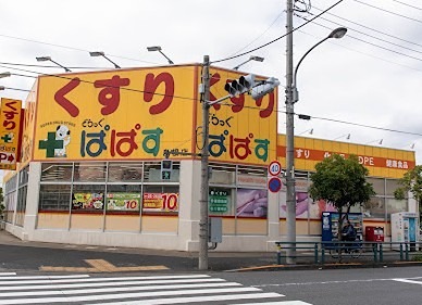 ドラックストア　どらっぐぱぱす 島根店（ドラッグストア）まで519m